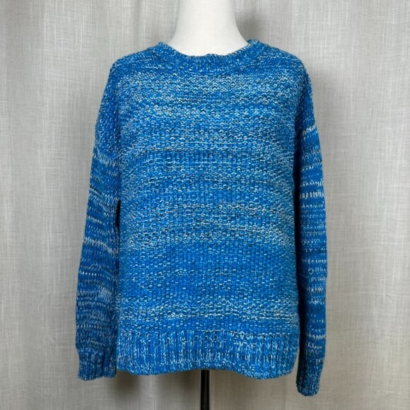Gap Chunky Knit Pullover Sweater Womens S Preppy Fisherman Thick Marled Blue - Picture 1 of 13